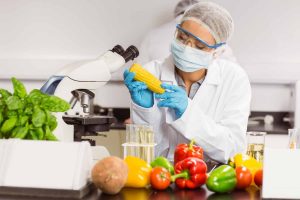 Training HACCP & GMP (Food Safety)